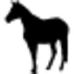 Horse standing black silhouette