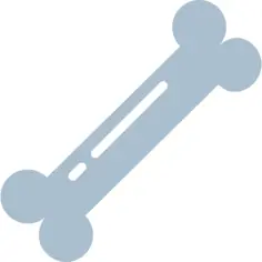 Bone