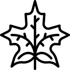 Maple leaf