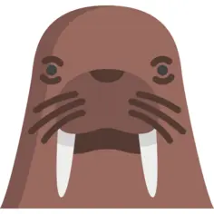Walrus