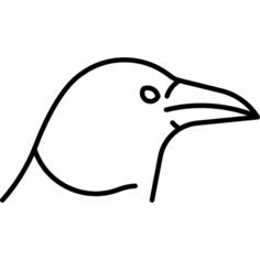 鸟