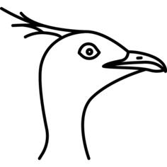 鸟