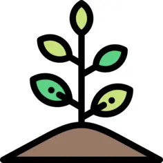 Sprout