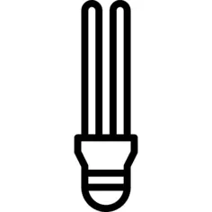 Bulb