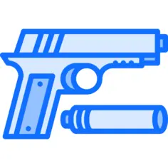Gun
