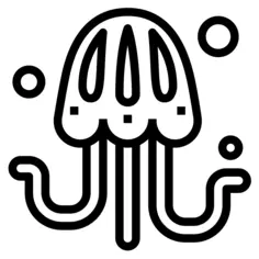 Jellyfish