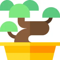 Bonsai