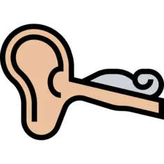 耳