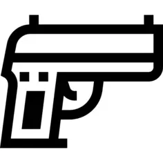Gun