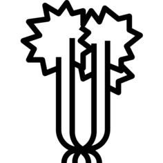 Celery