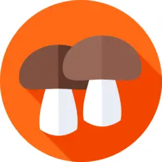 Mushrooms
