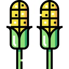 Corn