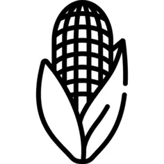 Corn