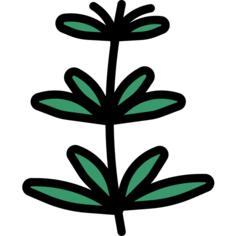 Herb