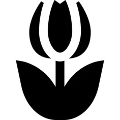 Tulip