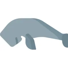 Dugong