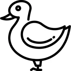 Duck