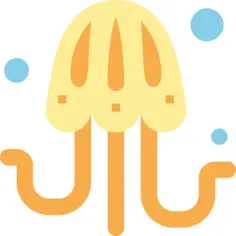 Jellyfish