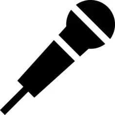 Microphone