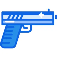 Gun