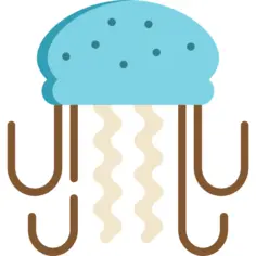 Jellyfish