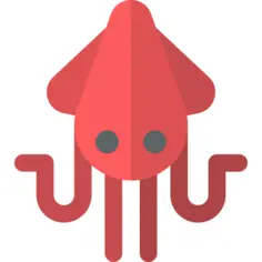 Squid