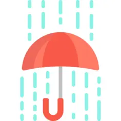 雨
