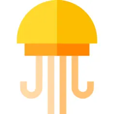 Jellyfish