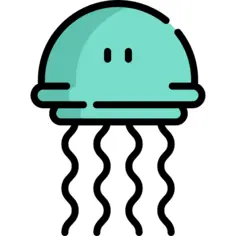Jellyfish
