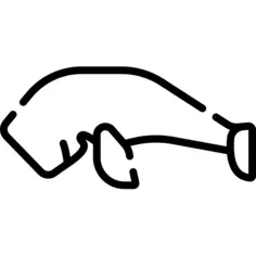 Dugong