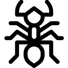 Ant