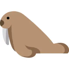 Walrus