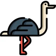 Ostrich