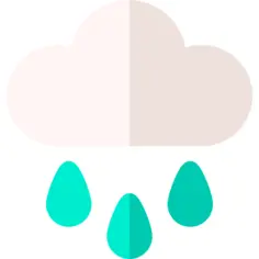 雨