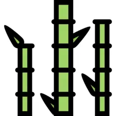 Bamboo
