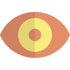 Eye