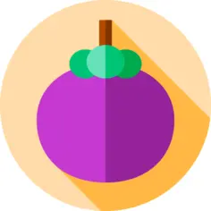 Mangosteen