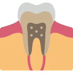 Tooth