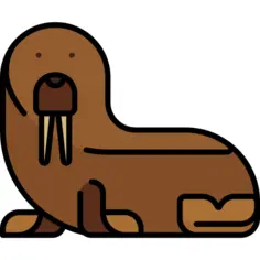 Walrus