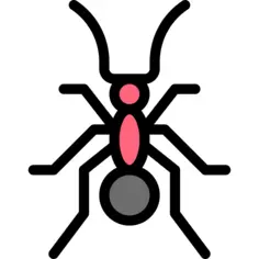 Ant