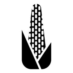 Corn