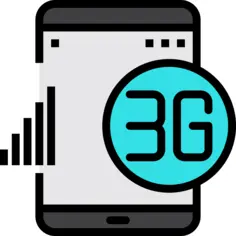 3g