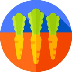 Carrots