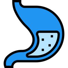 胃