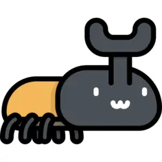 Beetle