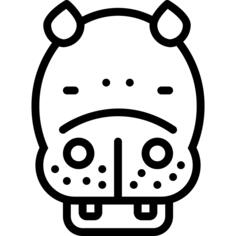 Hippopotamus