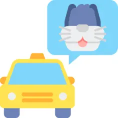 Pet taxi