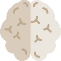 Brain