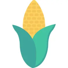 Corn