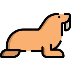 Walrus